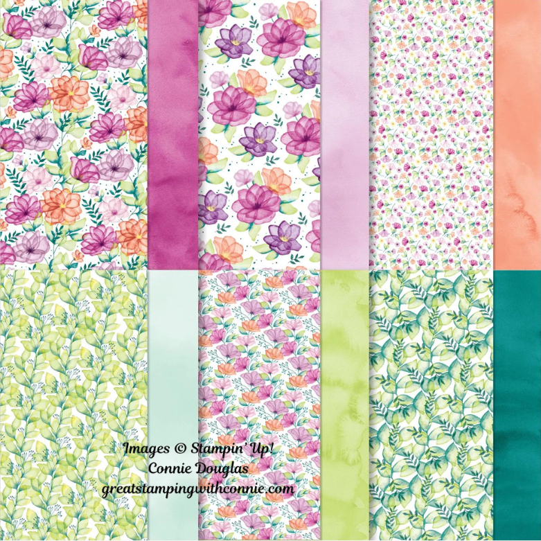 Translucent Florals — Great Stamping with Connie